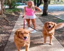 Goodman has adopted two big dogs and loves to have a walk with them.